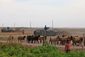Syria_4176_20121005
