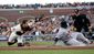 GIANTS_4190_20121025