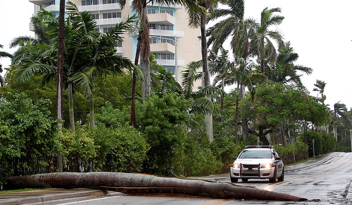 A Fort Lauderdale Police car stops at a fallen palm tree trunk blocking a road in Fort Lauderdale, Fla., on Oct. 25, 2012. (Associated Press)