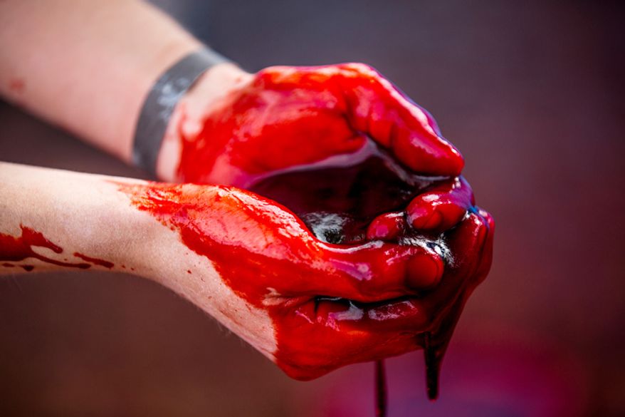 Corn syrup and starch dyed with red food coloring, which resembles blood, drips off a zombie participants hands. Volunteers who wish to become zombies must go through a 'zombification' process where they become drenched in blood to play the part of a real life zombie. (Andrew S. Geraci/The Washington Times)