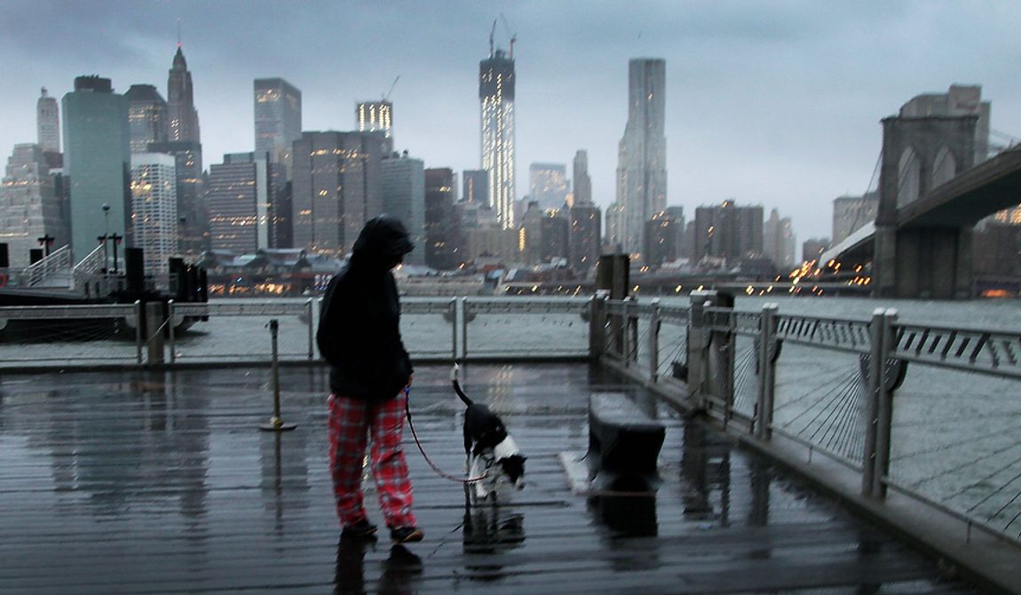 Vanessa Pumo walks her dog, Bella, as wind and rain from Hurricane Sandy arrive on Monday, Oct. 29, 2012, in the Brooklyn borough of New York. Behind her is the Manhattan skyline and the Brooklyn Bridge (right). (AP Photo/Mark Lennihan)