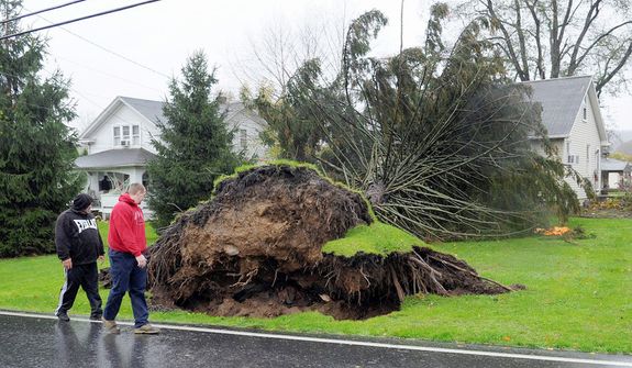 Homeowner Raymond Gara, left, and another man looks on as a tree sits on his house on Raubsville Road after strong storm winds brought on by Hurricane Sandy took it down, Monday, Oct. 29, 2012, in Williams Township, Pa. (AP Photo/The Express-Times, Matt Smith)