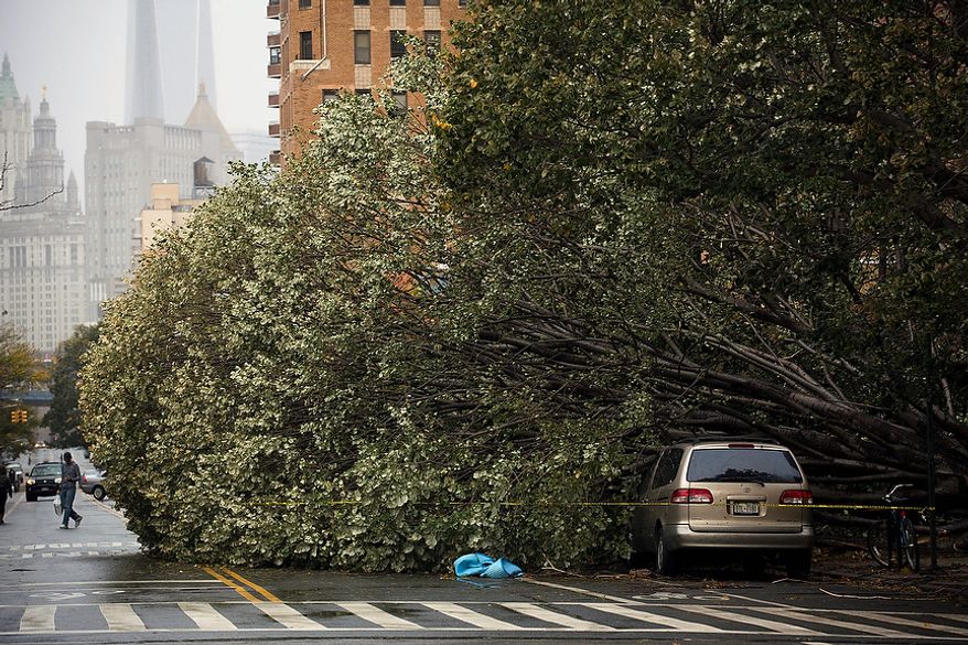 A fallen tree rests beside a parked car on East Broadway in Manhattan's Lower East Side neighborhood, Tuesday, Oct. 30, 2012, in New York. New York City awakened Tuesday to a flooded subway system, shuttered financial markets and hundreds of thousands of people without power a day after a wall of seawater and high winds slammed into the city, destroying buildings and flooding tunnels. (AP Photo/ John Minchillo)