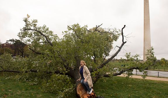Autumn Orme, of Hyattsville, Md., poses for a friend on a fallen tree on 14th Street SW, on the National Mall in Washington, D.C., Tuesday, Oct. 30, 2012, the day after Hurricane Sandy slammed into the region. (Rod Lamkey Jr./The Washington Times)
