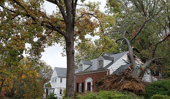 A huge tree crashed into this home on South Overlook in the Beverley Hills neighborhood of Alexandria, Va. during Hurricane Sandy. Fortunately no one inside the home was hurt. This image was made Tuesday, Oct. 30, 2012. (Barbara L. Salisbury/The Washington Times)