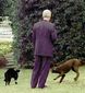 PET_WH11406