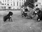 PET_WH11418