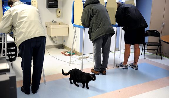 As voters cast their ballots, a cat that resides at the Kindred Transitional Care and Rehabilition Center wanders through on Election Day, Tuesday Nov. 6, 2012, in South Bend, Ind. (AP Photo/Joe Raymond)