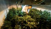 POT_WEB_20121108_0001
