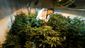 POT_WEB_20121108_0001