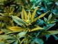pot_web_20121108_0002_primary_image.jpg