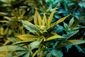POT_WEB_20121108_0002