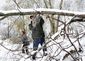 STORM_5770_20121108