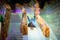 ICE_SHREK111104