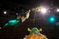 ICE_SHREK111105