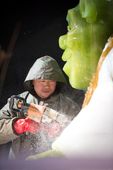 ICE_SHREK111110