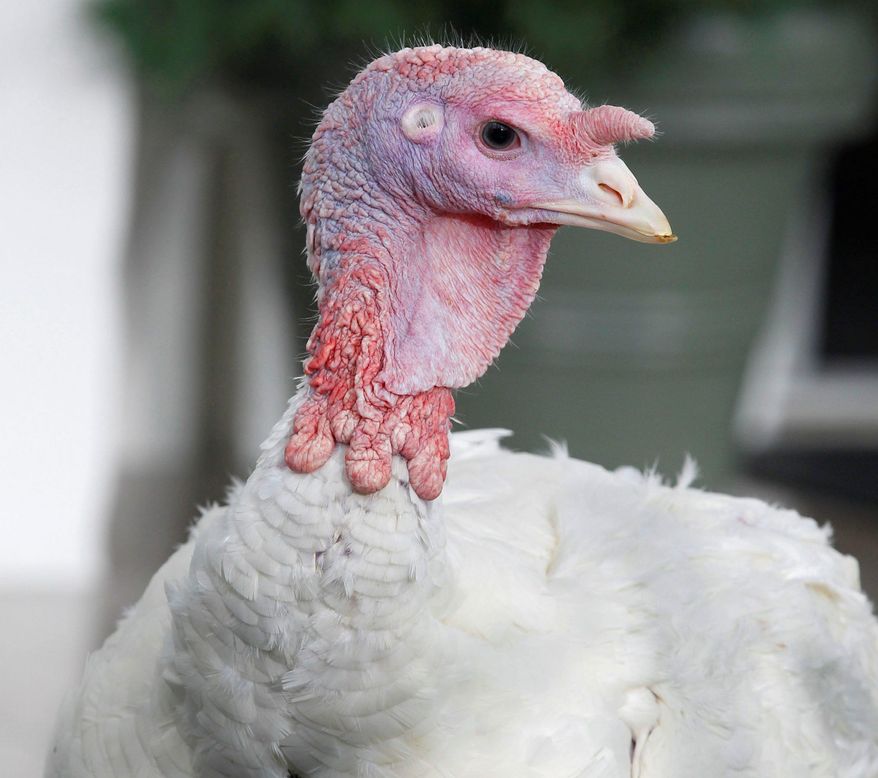 Image: Associated Press