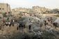 israel_6258_20121116