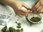legal-driving-marijua_reps_mugshot_four_by_three.jpg