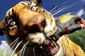 fc3-tiger-attack-640