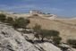 Mideast Israel Palest_Live.jpg