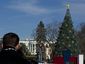 natltree_20121206_006_primary_image.jpg