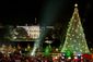 TREE_NATIONAL12601
