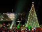 tree_national12601_primary_image.jpg