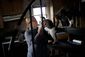 SANDY_WEB_20121211_0011