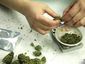legal-driving-marijua_reps_2_mugshot_four_by_three.jpg