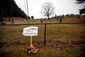 NEWTOWN_7271_20121218