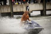 WATERSKI_SANTA122407