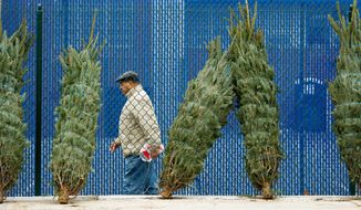 Christmas trees were for sale at the Eastern Market on Capitol Hill. (Andrew Harnik/The Washington Times)