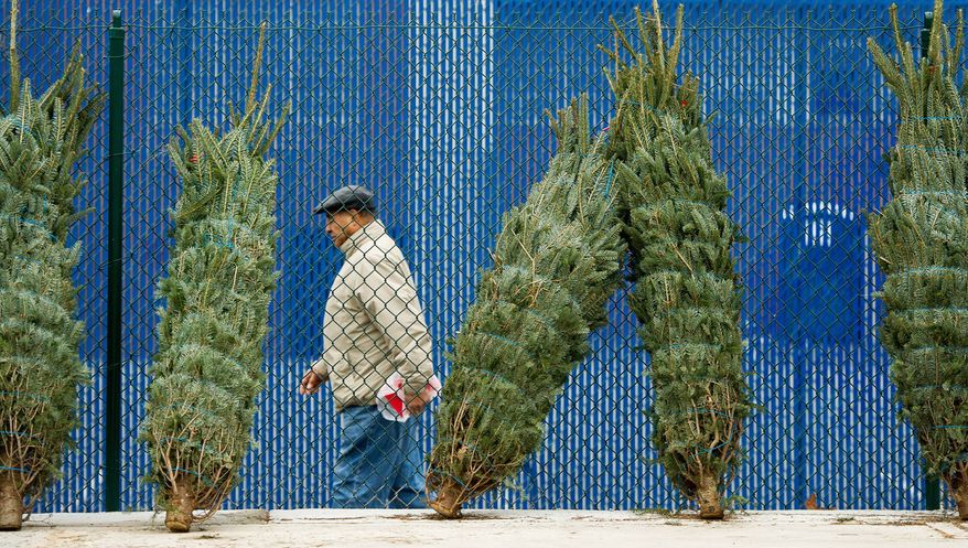 Christmas trees were for sale at the Eastern Market on Capitol Hill. (Andrew Harnik/The Washington Times)
