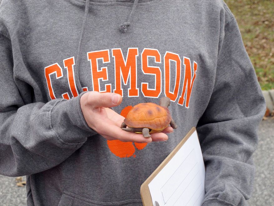 Clemson University student Nathan Weaver, researching ways to save a dwindling species, placed a fake turtle on roads to count the number of drivers who intentionally ran over it. What he found, he said, "was a bit shocking." (Associated Press)