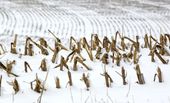 20130102-192745-pic-86641747.jpg