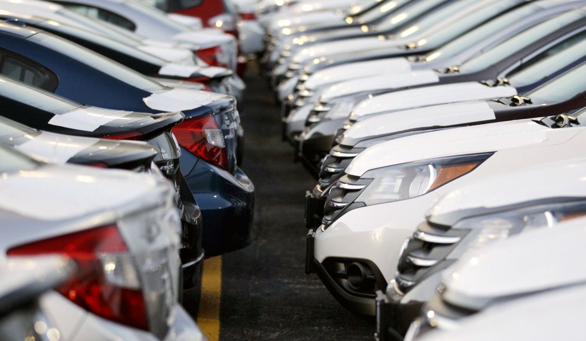 NextImg:Ruff stuff: Stray dogs destroy cars at Houston dealership, causing hundreds of thousands in damages