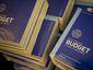 budget_20120213_0298_02131124_2_mugshot_four_by_three.jpg