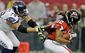 NFC_20130113_7974