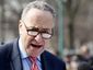 Schumer_2_mugshot_four_by_three.jpg