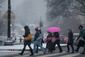 SNOW_20130124_8512