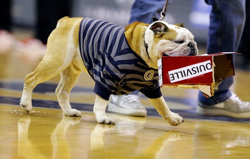 Georgetown mascot "Jack the Bulldog" tears into a box labeled as Louisville during the second half of an NCAA college basketball game, Saturday, Jan. 26, 2013, in Washington. Georgetown won 53-51. (AP Photo/Alex Brandon)