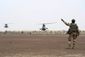 Mali Fighting_Live.jpg