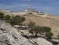 mideast-israel-palest_live_24_mugshot_four_by_three.jpg