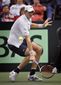 Davis Cup Brazil US T_Lanc.jpg