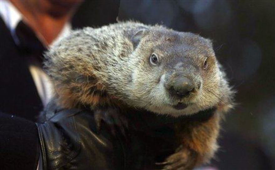 Groundhog Club Co-handler Ron Ploucha holds the weather predicting groundhog, Punxsutawney Phil, after the club said Phil did not see his shadow and there will be an early spring during the Groundhog Day ceremony, Saturday, Feb. 2 in Punxsutawney, Pa. (Associated Press)