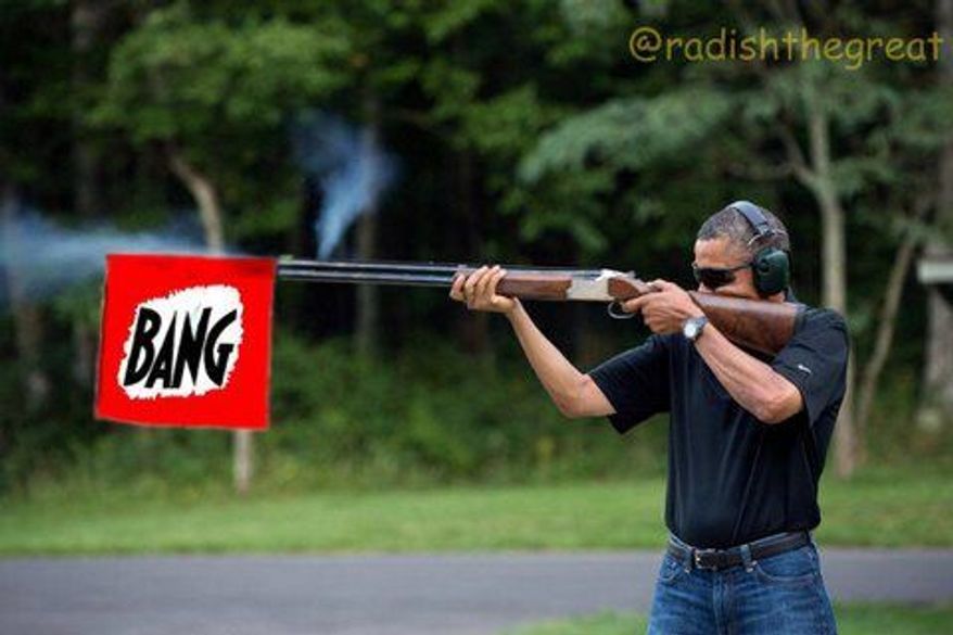 Gun nut
