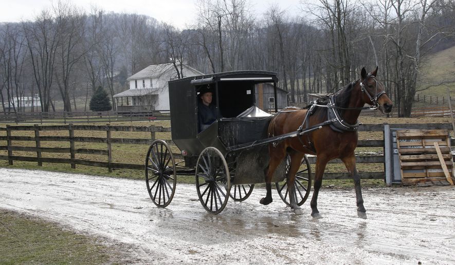 **FILE** An Amish buggy is driven down the road Jan. 29, 2013, between the farms in Bergholz, Ohio, that are worked by the families of sixteen men and women convicted in beard-cutting attacks on fellow Amish. (Associated Press)