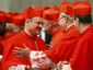 cardinals_2_mugshot_four_by_three.jpg