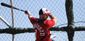 Nationals Spring Base_Lanc(64).jpg